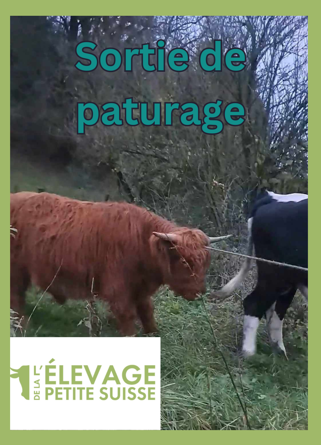 C'est la rentrée de nos Highlands